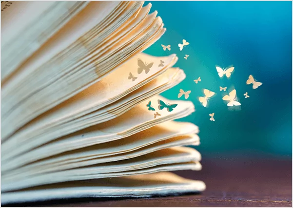 Custom Book Cover Design